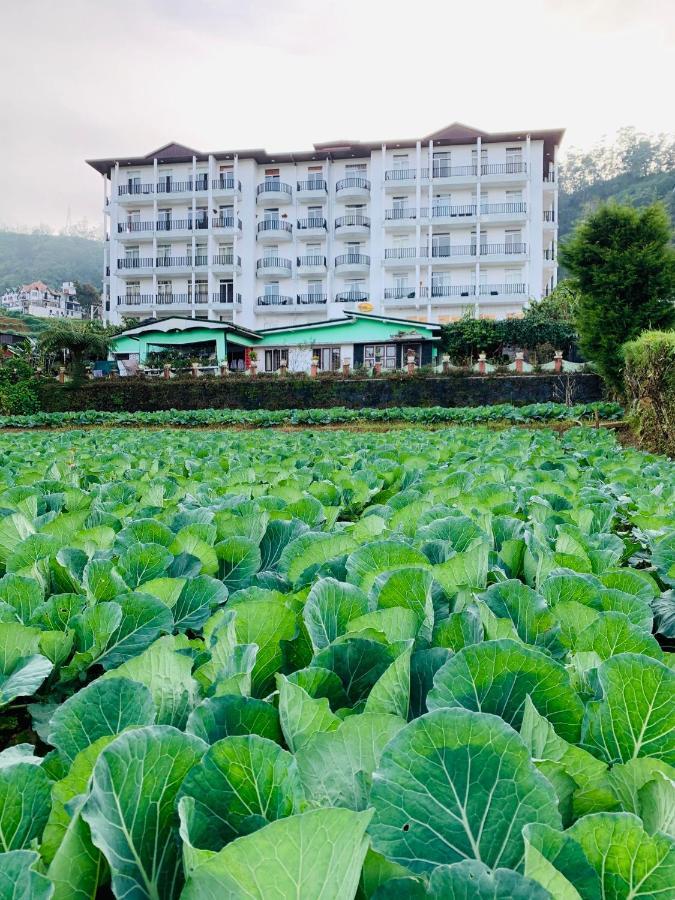 City Apartment'S 努沃勒埃利耶 外观 照片